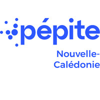 PEPITE NC logo - Similar company to Fondacal