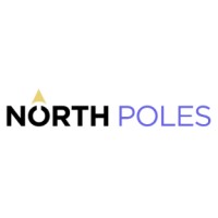 Northpoles Technology logo - Similar company to Digitalippo