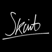 Skint Film Company logo - Similar company to Tt-G