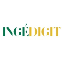 INGÉDIGIT logo - Similar company to Artilinki