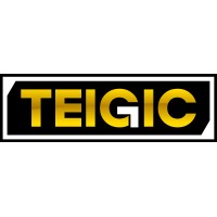 TEIGIC Solutions logo - Similar company to Hubstarr Logistics Llc
