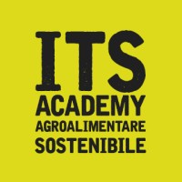 ITS Academy Mantova logo - Similar company to Digibuzz Studio