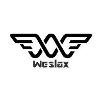 Weslax GmbH logo - Similar company to Orthodrone