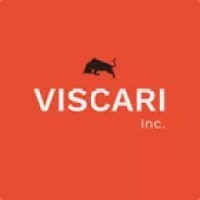 VISCARI Treinamentos logo - Similar company to Geta - Get Automation