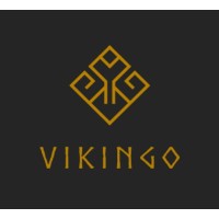 VIKINGO logo - Similar company to Amazoniaec