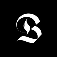 Burnt logo - Similar company to Omni Network