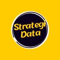 StrategiData logo - Similar company to Stagefulness