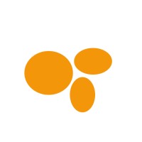 Nothingness logo - Similar company to Doubleprecision Software