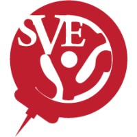 Southern Vinyl Entertainment logo - Similar company to Pendulum Entertainment Group