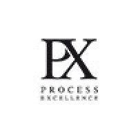 Process Excellence AG logo - Similar company to Kapcon Ag