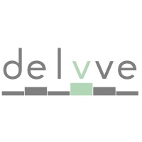 Delvve logo - Similar company to Care2Data