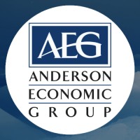 Anderson Economic Group, LLC logo - Similar company to Forensic Economic Services, Llc