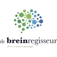 De Breinregisseur logo - Similar company to Cin-Ergy