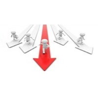 Canadian Immigration Services logo - Similar company to Nialaw