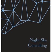 Night Sky Consulting logo - Similar company to Southeast Child & Family Services