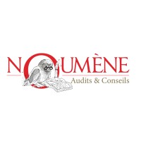 Noumène Audits & Conseils logo - Similar company to Digiworker
