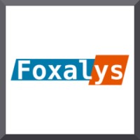 Foxalys logo - Similar company to Steelyard Peson