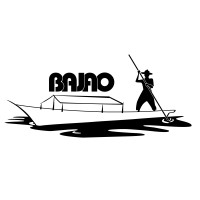BAJAO GmbH logo - Similar company to Caesekrake Gmbh
