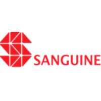 Sanguine Infra Tech logo - Similar company to Wings Global Services
