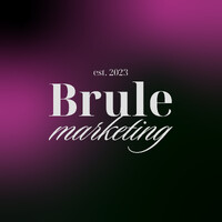 Brule Marketing logo - Similar company to Dis - Digital Innovation Systems