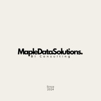 MapleDataSolutions logo - Similar company to Obi Advisors