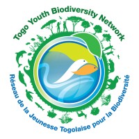 GYBN-Togo logo - Similar company to Racine Communication (Rc)