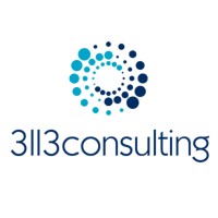3113 Consulting Pty Ltd logo - Similar company to Carnelian Projects Pty Ltd