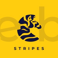 ZeebraStripes Studios LLP logo - Similar company to Fine Flow Technologies Llp