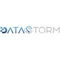 Datastorm logo - Similar company to Datastorm