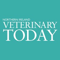 NI Veterinary Today logo - Similar company to Innovative Veterinary Care Journal