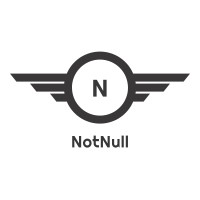 NotNull logo - Similar company to Notnull Llp