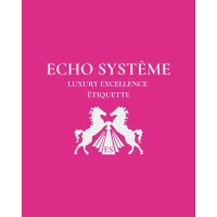 Echo Systeme Agency logo - Similar company to Alquantix Sa
