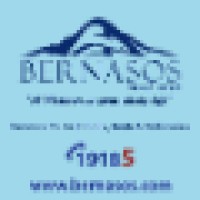 Bernasos Group logo - Similar company to 2Bs Cargo Egypt