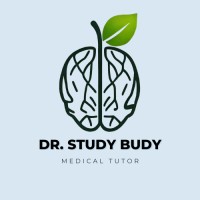 Dr. Study Budy logo - Similar company to Bright Scholars