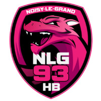 Noisy-le-Grand Handball 🐺 logo - Similar company to Isaq