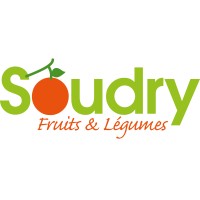 Soudry SAS logo - Similar company to Next Foundry