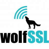 wolfSSL logo - Similar company to Ddc-I