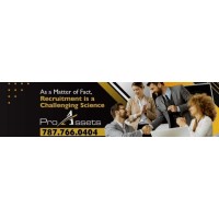 Pro Assets LLC logo - Similar company to Bridge Security Services, Inc.