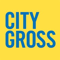 City Gross logo - Similar company to Dollarstore