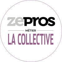 Zepros La Collective logo - Similar company to Illumiaa