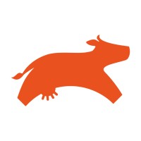 Ficheel LATAM logo - Similar company to Importaciones Hakem Sac