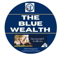 The Blue Wealth - GM Financials logo - Similar company to Bj Experts
