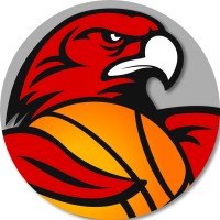 RedHawks Potsdam logo - Similar company to Dezem Gmbh