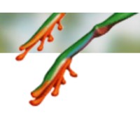 Leapfrog Strategy Consulting logo - Similar company to Laudable Media