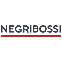 Negri Bossi Group logo - Similar company to Demag