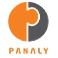 Panaly Consulting logo - Similar company to Globemonitor