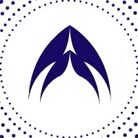 Altalyst Outsourcing Private Limited logo - Similar company to Webxlr8