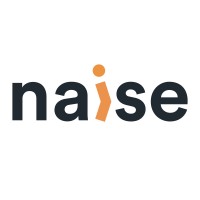 Naise logo - Similar company to Fit & Renew