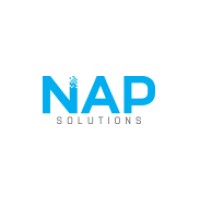 NAP Solutions logo - Similar company to Dewosoft Team