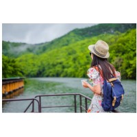 Cruise Travel Services logo - Similar company to Wise Choice Internet Group, Inc.